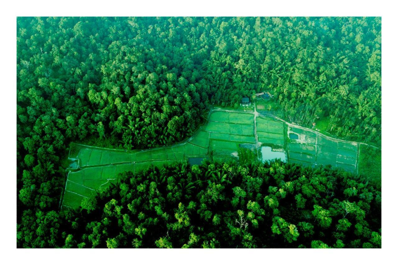 Vayal Veedu - Luxury Farm Villas By The Woods Muthanga Dış mekan fotoğraf